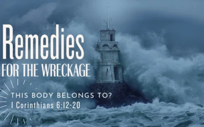 This Body Belongs To?